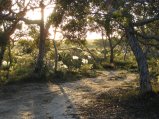 176-IMG_1483.JPG.small.jpeg
