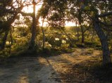 177-IMG_1484.JPG.small.jpeg