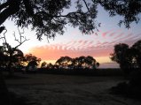 179-IMG_1491.JPG.small.jpeg