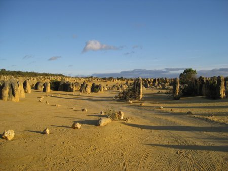 180-IMG_1492.JPG.medium.jpeg