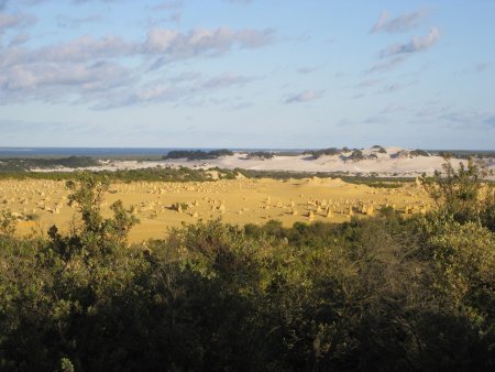 185-IMG_1501.JPG.medium.jpeg