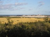 185-IMG_1501.JPG.small.jpeg