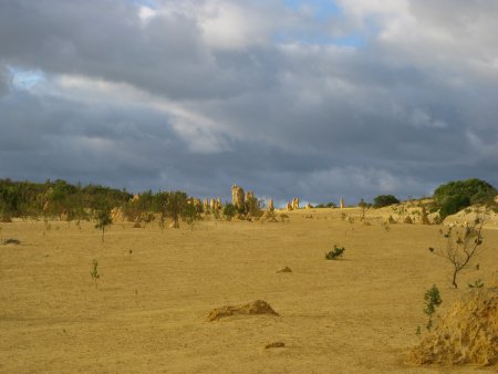 188-IMG_1504.JPG.medium.jpeg