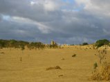 188-IMG_1504.JPG.small.jpeg