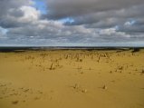 192-IMG_1513.JPG.small.jpeg