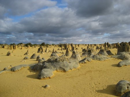 194-IMG_1518.JPG.medium.jpeg