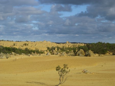 195-IMG_1522.JPG.medium.jpeg
