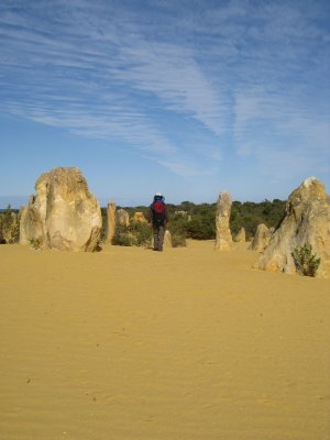 198-IMG_1538.JPG.medium.jpeg