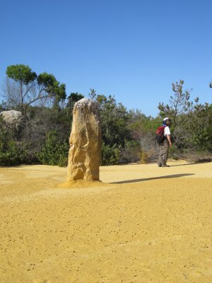 199-IMG_1542.JPG.medium.jpeg