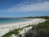 201-IMG_1544.JPG.small.jpeg