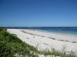 202-IMG_1545.JPG.small.jpeg