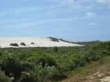 203-IMG_1549.JPG.small.jpeg