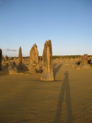 205-IMG_1553.JPG.medium.jpeg