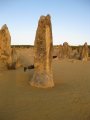 207-IMG_1556.JPG.small.jpeg