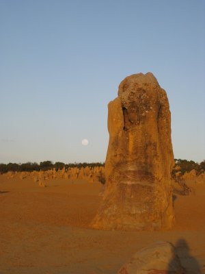 208-IMG_1561.JPG.medium.jpeg