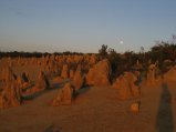 210-IMG_1566.JPG.small.jpeg
