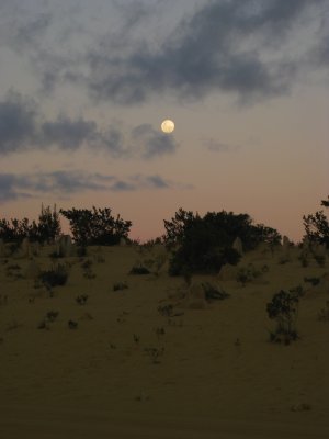 211-IMG_1573.JPG.medium.jpeg