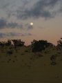 211-IMG_1573.JPG.small.jpeg