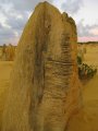 212-IMG_1578.JPG.small.jpeg