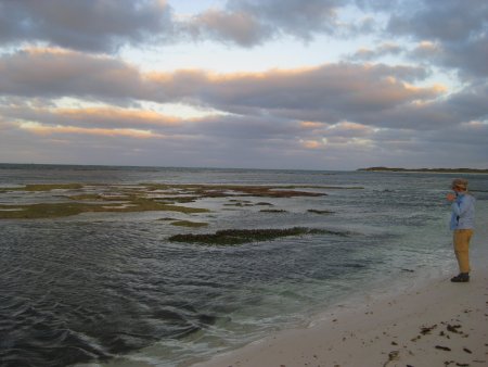 215-IMG_1583.JPG.medium.jpeg
