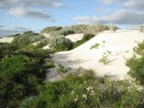 216-IMG_1586.JPG.small.jpeg