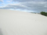 217-IMG_1596.JPG.small.jpeg
