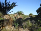220-IMG_1604.JPG.small.jpeg