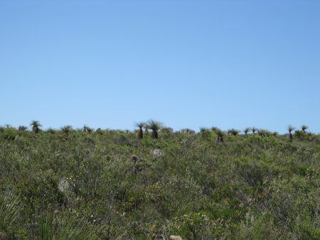 222-IMG_1637.JPG.medium.jpeg