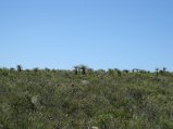 222-IMG_1637.JPG.small.jpeg