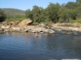 226-IMG_1655.JPG.small.jpeg
