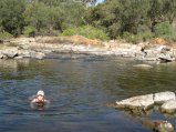 227-IMG_1657.JPG.small.jpeg