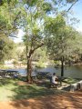 228-IMG_1659.JPG.small.jpeg