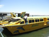 231-IMG_1670.JPG.small.jpeg