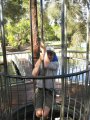 238-IMG_1684.JPG.small.jpeg