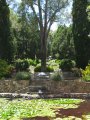 245-IMG_1710.JPG.small.jpeg