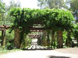 247-IMG_1713.JPG.small.jpeg
