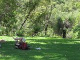 249-IMG_1722.JPG.small.jpeg
