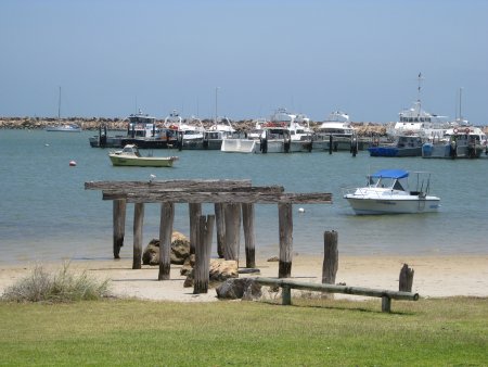 250-IMG_1724.JPG.medium.jpeg