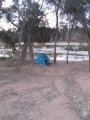 251-IMG_1727.JPG.small.jpeg