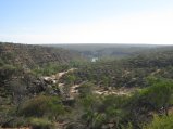 252-IMG_1731.JPG.small.jpeg