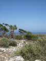 259-IMG_1746.JPG.small.jpeg