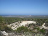 260-IMG_1747.JPG.small.jpeg