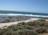 261-IMG_1756.JPG.small.jpeg