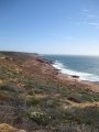 265-IMG_1762.JPG.small.jpeg