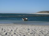 273-IMG_1779.JPG.small.jpeg