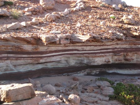 276-IMG_1794.JPG.medium.jpeg