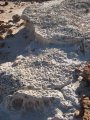 280-IMG_1804.JPG.small.jpeg