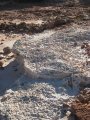 281-IMG_1805.JPG.small.jpeg