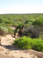 282-IMG_1807.JPG.small.jpeg