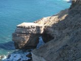 287-IMG_1818.JPG.small.jpeg